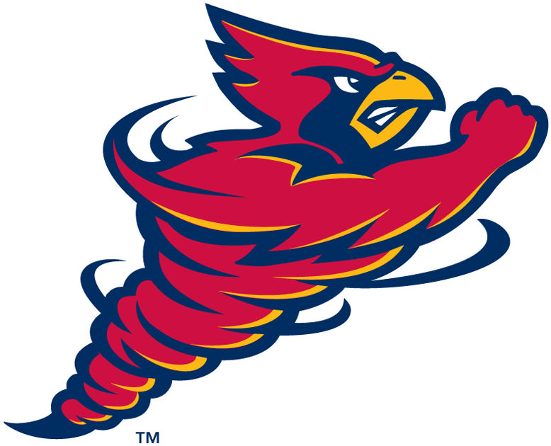 Iowa State Cyclones 1995-2007 Alternate Logo v3 diy iron on heat transfer